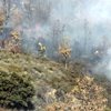 11 detenidos y 20 imputados en causas relacionadas con incendios forestales en la Comunidad