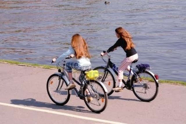 Los alemanes prefieren las bicis