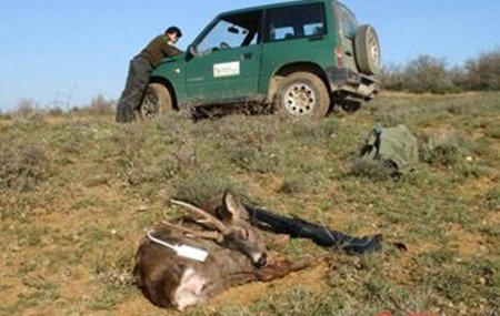 Nos dejan desarmados