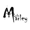 Lobo Marley denuncia a la diputación por prevaricación