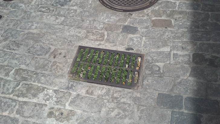 IU alerta de la mala limpieza municipal