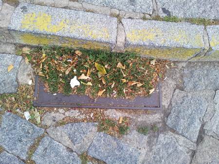 IU alerta de la mala limpieza municipal