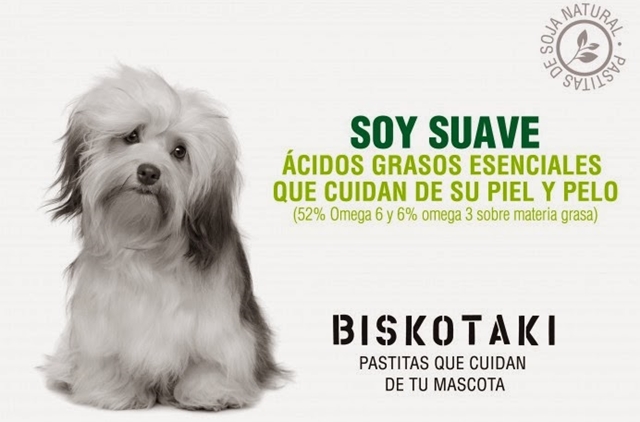 Profesora de la UCAV gana un premio por las galletas Biskotaki