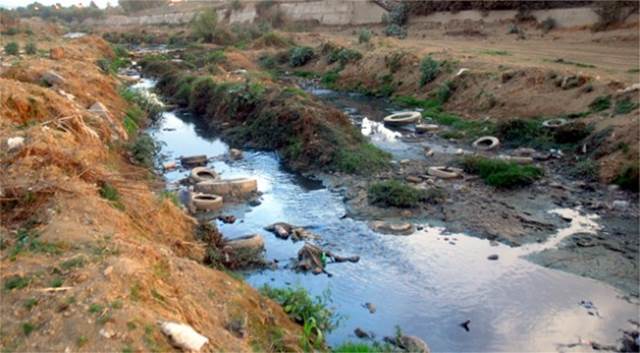 Nos comprometemos con el Medio Ambiente