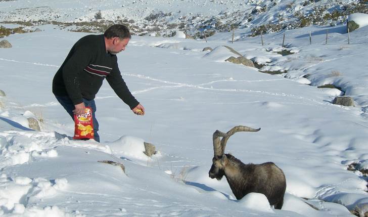 Cobrar por acceder a Gredos será un lastre