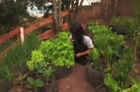 Izquierda Unida propone un debate sobre los parques agricolas en Ávila