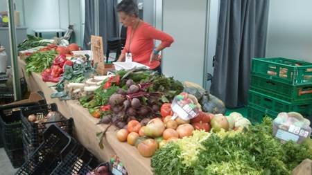 Ávila se pasa a la ecológica