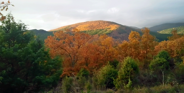 Arenas de San Pedro muestra la naturaleza y cultura de Gredos
