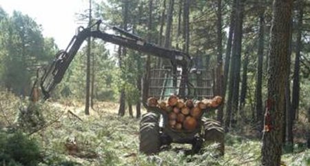 La 'Ciudad del Golf' cumplía los requisitos