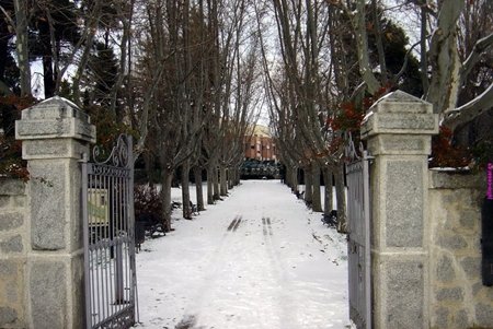 Los parques son algo más que zonas verdes