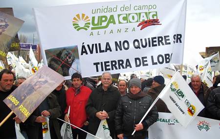 La Junta de Castilla y León tiene la culpa del debate del lobo