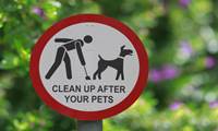UPyD pide ubicar carteles informativos sobre la Ordenanza de Mascotas en las zonas verdes