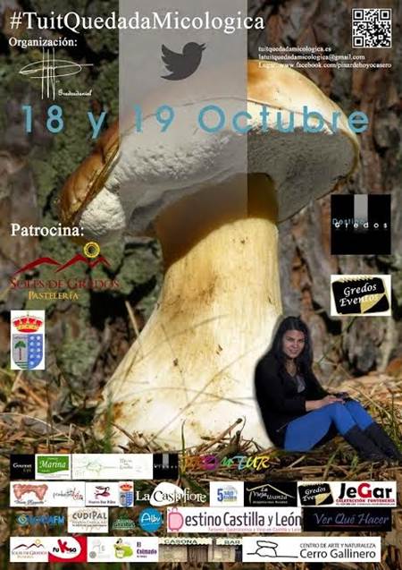 “La Tuit Quedada Micológica” reunirá en Gredos a blogueros y aficionados a la micología