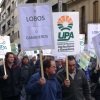 ¿Superpoblación de lobos?