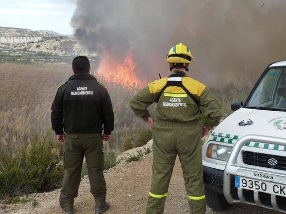 La nueva Ley de Montes puede provocar incendios con fines especulativos