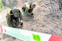 La nueva Ley de Montes puede provocar incendios con fines especulativos