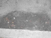 UPyD de Ávila solicita la limpieza exhaustiva de alcantarilla e imbornales