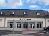 UPyD manifiesta su honda preocupación por el futuro próximo del ferrocarril en Ávila