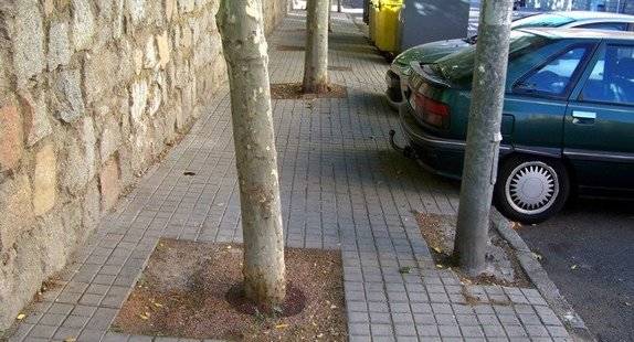 IU denuncia las faltas de accesibilidad en Ávila