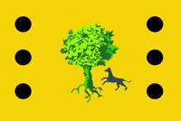 ¿Qué clase de compromiso es este?