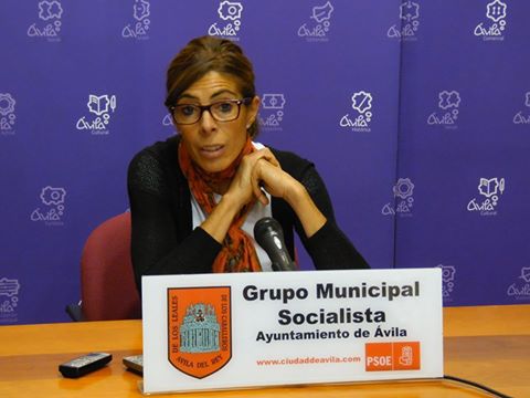 “La participación ciudadana en Ávila es una realidad virtual”