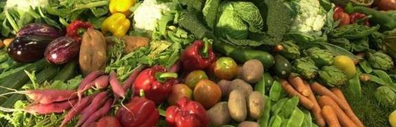 IU reclama un apoyo decidido al impulso de la producción ecológica en Ávila