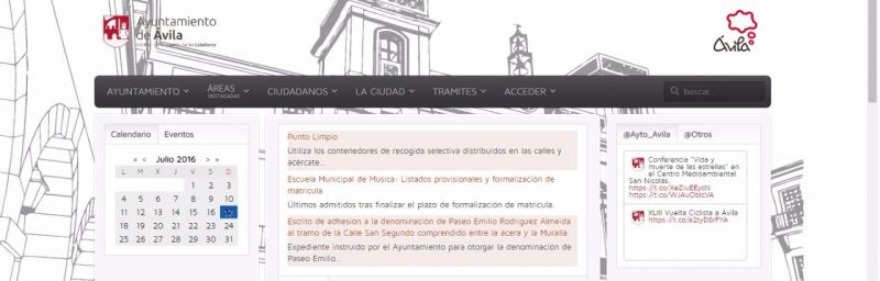 ¿Por qué no impulsa el pago telemático en la web municipal?