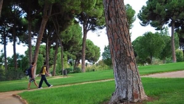 ¿Por qué no mantenéis en condiciones las rutas botánicas?