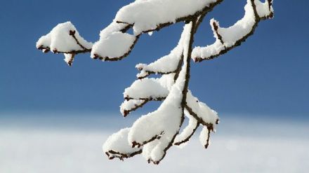 Previsión de nevadas y vientos durante las próximas horas