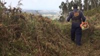 Con lucha invernal no habría incendios así