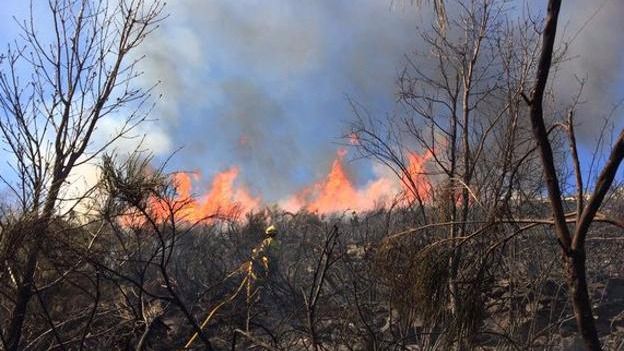 Nivel 2 un incendio de Hoyocasero