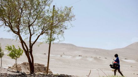 Una especie de familia