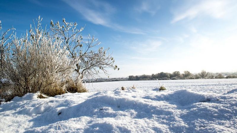 Consejos para 'sobrevivir' a una nevada