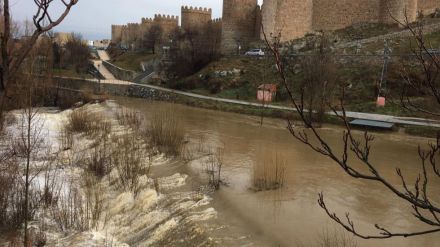 Policía Local y Protección Civil mantienen la vigilancia de los cauces de los ríos Chico y Adaja a su paso por Ávila