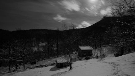 100 días de soledad