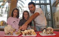 El Barco de Ávila prepara unas jornadas micologicas