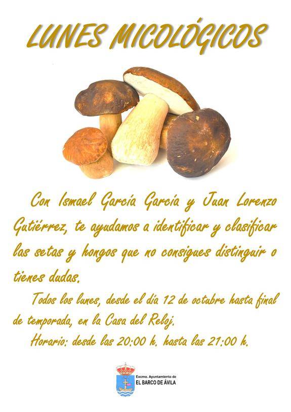 El Barco de Ávila prepara unas jornadas micologicas
