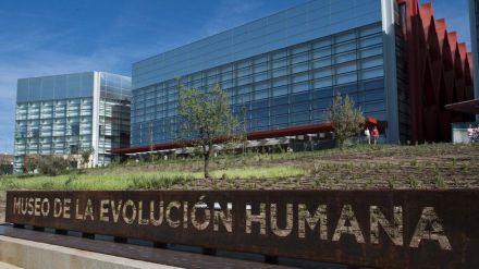 El Museo de la Evolución Humana presenta su programación de verano con más de 200 actividades