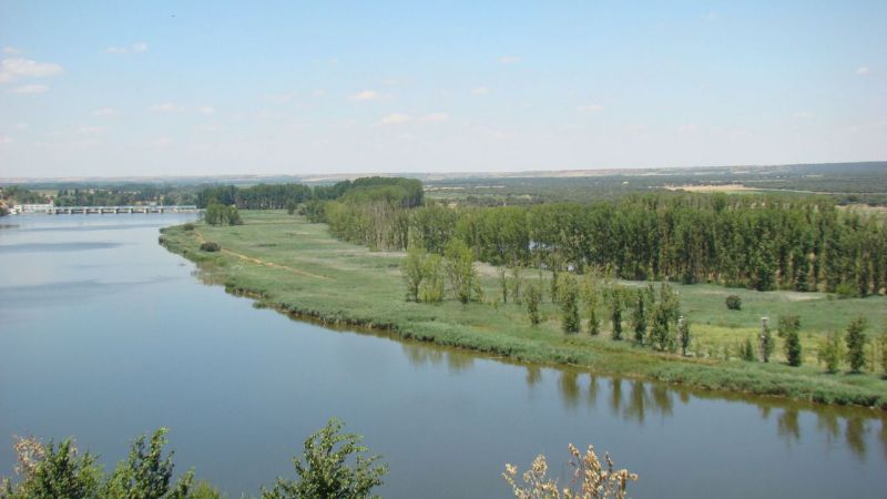 La Junta de Castilla y León licita por 5,39 millones de euros obras de modernización de regadío