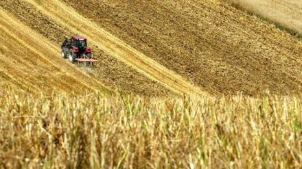 Agricultura y Ganadería destina 10,7 millones de euros a bonificar los intereses de los préstamos a titulares de explotaciones agrarias