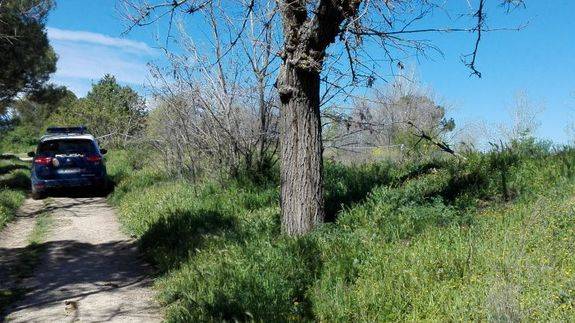 Ávila es una 'selva' reseca