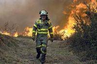 Concedan lo que piden a los brigadistas forestales
