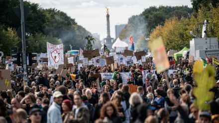 Ecología sí, fanatismo y violencia no