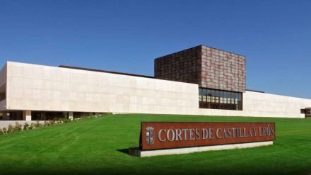 La Junta de Castilla y León constituye la Sección de Colaboración con el Tercer Sector