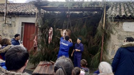 Navaluenga y Martiherrero reviven la matanza para que las nuevas generaciones no olviden esta tradición