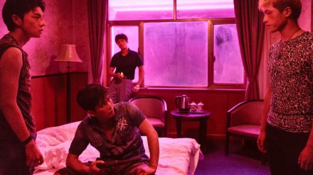 El lago del ganso salvaje