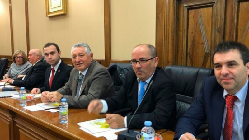 Por Ávila pide a la Diputación que compre mascarillas para todos los pueblos