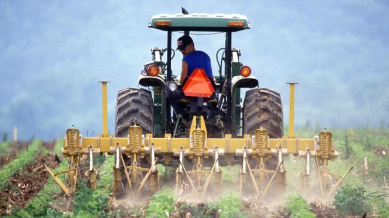 Por Ávila felicita y anima a los trabajadores del campo en el día de su patrón