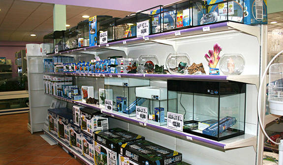 Los horarios comerciales no son un tema menor para los comerciantes abulenses