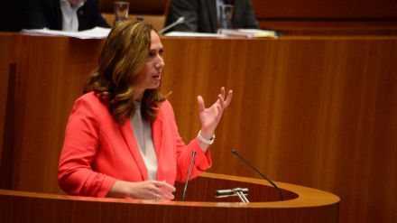 Inmaculada Gómez (Cs): "El sector del vino de Castilla y León necesita medidas extraordinarias"